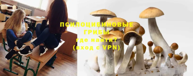 мега сайт  Беломорск  Галлюциногенные грибы MAGIC MUSHROOMS  купить наркотики цена 